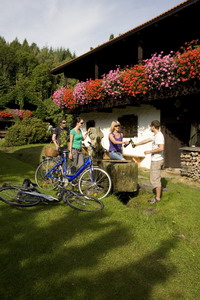 img_2022.jpg-velotors