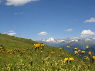 Ferienregion Wipptal & seine Seitentäler